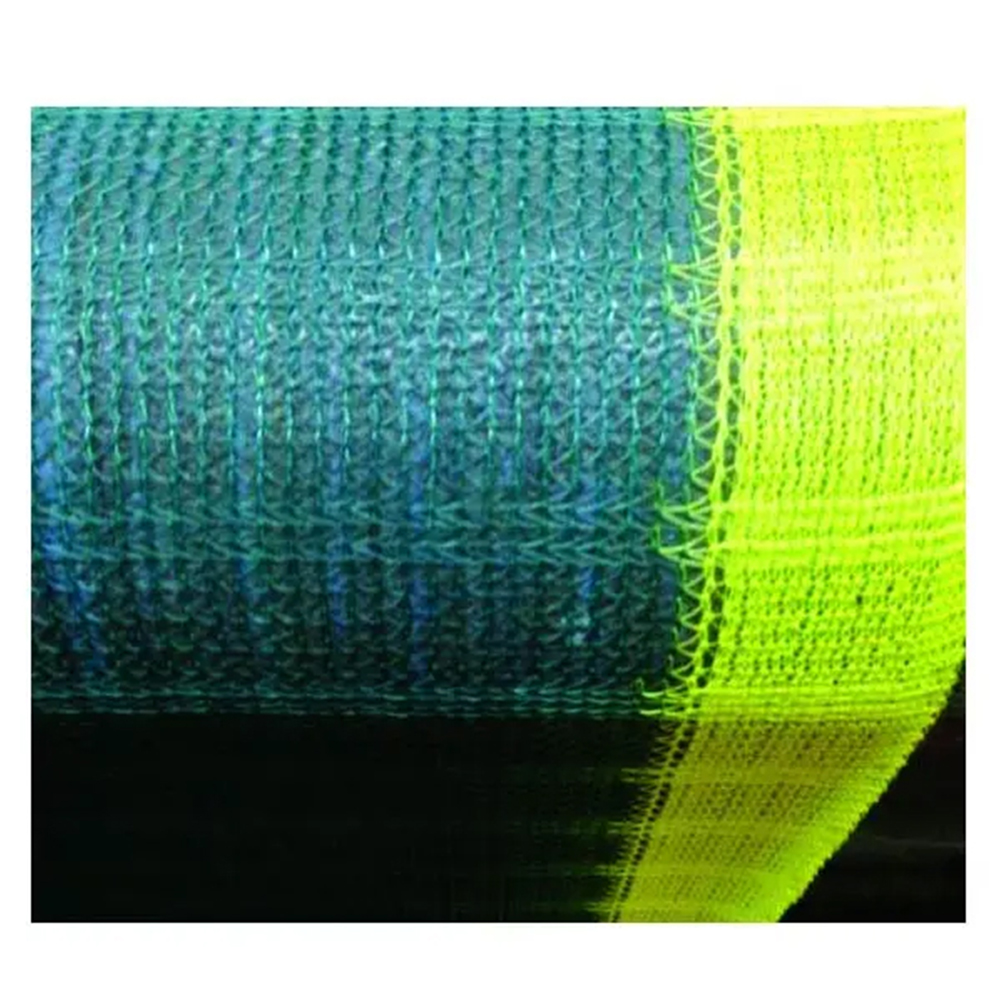 Ελαιόδιχτα